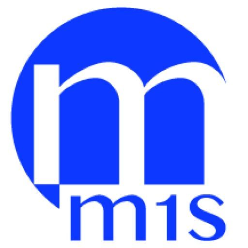 M1S Insurance Agency Inc